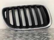 Blende Kühlergrill Gitter Frontziergitter Niere rechts BMW X5 E53 7124816