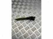 Einspritzdüse (Diesel) von einem Landrover Range Rover Sport