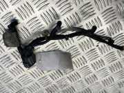 Kabelbaum von einem Ford Transit Custom