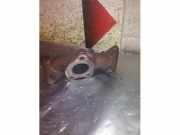 Abgaskrümmer von einem Mercedes ML-Klasse