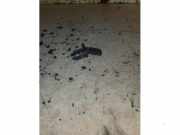 Nockenwelle Sensor von einem Ford Transit Custom