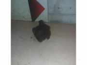 Luftmassenmesser von einem Mercedes ML-Klasse