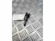 Injektor (Benzineinspritzung) von einem Ford Focus