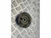 Zahnrad Dieselpumpe von einem Ford Transit