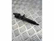 Einspritzdüse (Diesel) von einem Landrover Range Rover