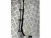 Kabelbaum von einem Ford Transit Custom