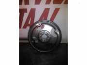 Schwungrad von einem Ford Transit Custom