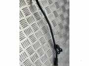 Ölmessstab von einem Peugeot 208