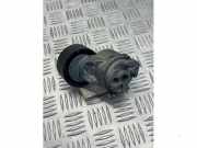 Spannrolle Multiriemen von einem Fiat Ducato