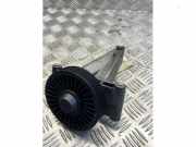 Spannrolle Multiriemen von einem Mercedes Sprinter