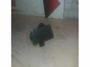 Drosselklappensteller von einem Mercedes C-Klasse