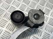 Spannrolle Multiriemen von einem Ford Transit