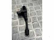 Stift Zündspule von einem Ford Focus