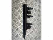 Einspritzdüse (Einspritzer) von einem Citroen C4 Cactus