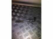 Einspritzdüse (Diesel) von einem Renault Master