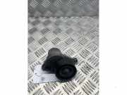 Spannrolle Multiriemen von einem Renault Master