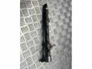 Einspritzdüse (Einspritzer) von einem Mercedes Sprinter