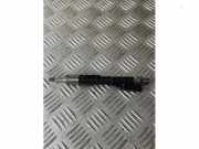 Injektor (Benzineinspritzung) von einem BMW 4-Serie