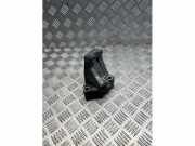 Motorlager von einem Fiat Ducato