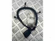 Kabelbaum von einem Ford Transit Custom