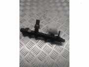 Einspritzdüse (Einspritzer) von einem Citroen Jumpy