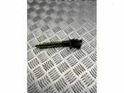 Einspritzdüse (Diesel) von einem Landrover Range Rover Sport