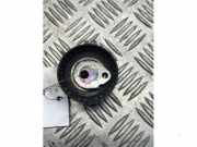 Spannrolle Multiriemen von einem Citroen Jumper