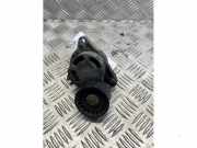 Spannrolle Multiriemen von einem Renault Master