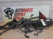 Kabelbaum von einem Mercedes C-Klasse