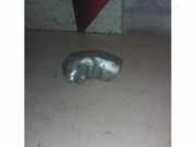 Hitzeschild Auspuff von einem Mercedes Sprinter