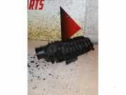 Ansaugbrugge von einem Ford Fiesta