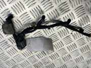 Kabelbaum von einem Ford Transit Custom