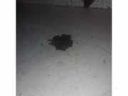 Vakuumventil von einem BMW 2-Serie