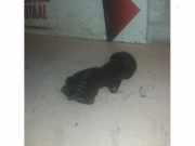 Öl Füllrohr von einem Mercedes Vito