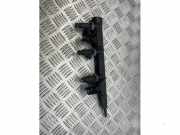 Einspritzdüse (Einspritzer) von einem Citroen C4 Cactus