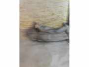 AGR Rohr von einem Mercedes E-Klasse