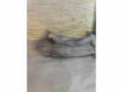 AGR Rohr von einem Mercedes E-Klasse