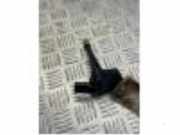 Ölstandsensor von einem Volkswagen Crafter