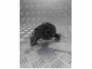 Ölpumpe von einem Volkswagen Transporter