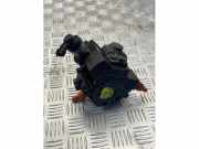 Dieselpumpe von einem Renault Trafic