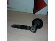 Spannrolle Multiriemen von einem Volkswagen Crafter