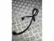 Klopfsensor von einem BMW X5