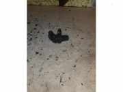 Nockenwelle Sensor von einem Fiat Ducato