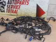 Kabelbaum von einem Ford Fiesta