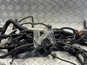 Kabelbaum von einem Ford Fiesta