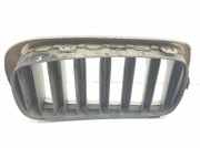 Grill Gitter Links 51137349387 BMW X6 (F16) SUV xDrive30d 3.0 24V (N57-D30A) 2014