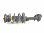 Stoßdämpfer Rechts Vorne 5430300Q1C Nissan FURGON L2H2 35T ACENTA FWD