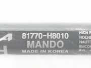 Gasdruckfedern Set Hinten 81770H8010 Kia Rio IV (YB) Schrägheck 1.2 CVVT 16V (G4LF)