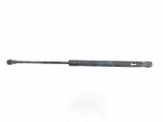 Gasdruckfeder Hinten 51247060622 BMW 1 serie (E87/87N) Schrägheck 5-drs 118d 16V (N47-D20A) 2007