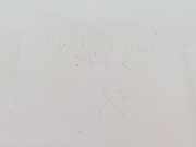 Ausgleichbehälter 254R0P4500 Hyundai Tucson (NX) SUV 1.6 T-GDI HEV (G4FT) 2023